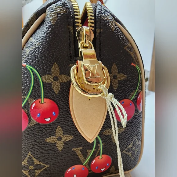Louis Vuitton 2025 LV x TM Murakami Cerises Cherry Speedy Bandoulière 20 M13094 - Picture 8 of 16